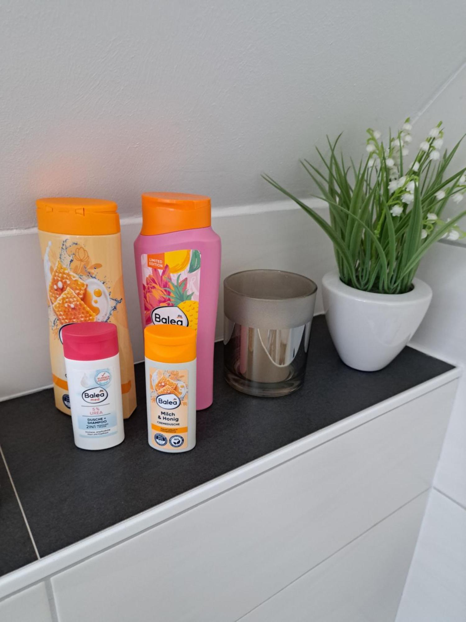 Wunderschoenes 2 Zimmer Apartment Inkl. Parkplatz Asbach  Exterior foto